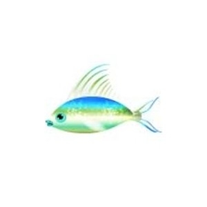 Chroma Fish 4